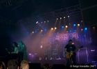 saxon-2007-t-14